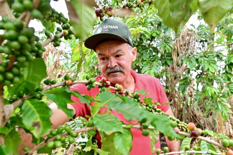 Um Alívio para a Agricultura Familiar