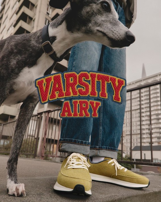 Da moda à tecnologia: Allbirds aposta na inteligência artificial para se reinventar